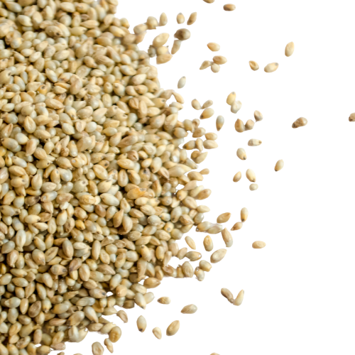 Bio extrakt ze semen prosa